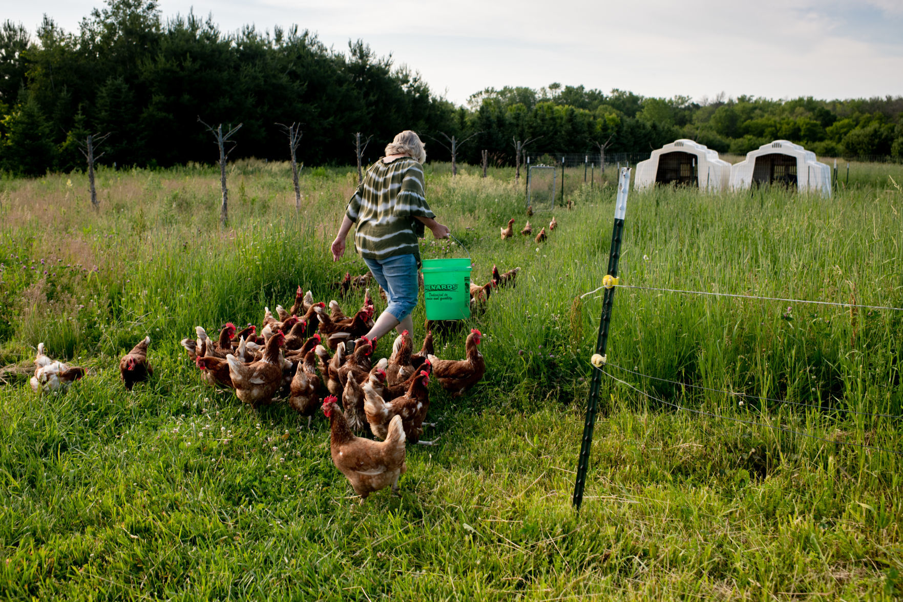 Sugar River Farm-01.jpg